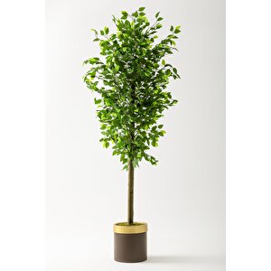 Yapay Benjamin Ağacı 180 Cm Kahverengi Gold Metal Saksı