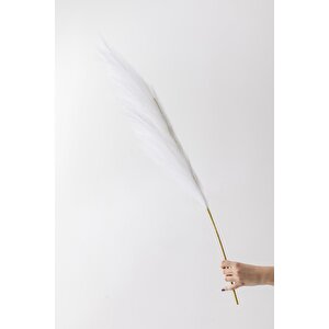 Yapay Pampas Çiçeği 100 Cm Tek Dal Beyaz