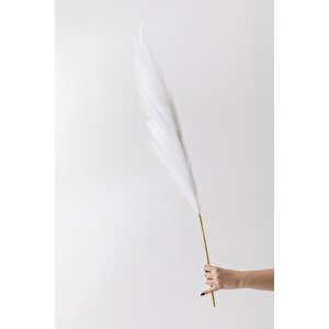 Yapay Pampas Çiçeği 100 Cm Tek Dal Beyaz