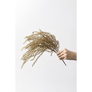 Yapay Cipso Demeti Gold 50 Cm 7 Dal(uv)