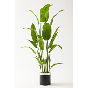 Yapay Starliçe Ağacı 160 Cm Siyah Gümüş Metal Saksı