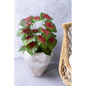 Yapay Salon Köşe Çiçeği Devetabanı Kırmızı 65 Cm Saksısız