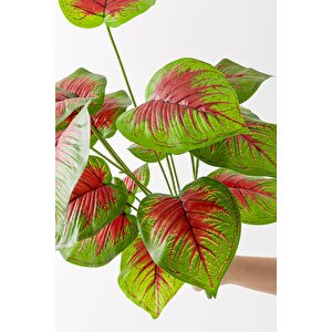Yapay Salon Köşe Çiçeği Devetabanı Kırmızı 65 Cm Saksısız