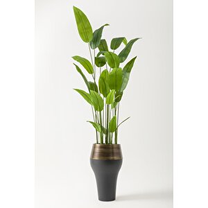 Yapay Starliçe Ağacı 230 Cm Siyah Eskitme Damla Saksı