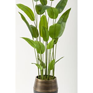 Yapay Starliçe Ağacı 230 Cm Siyah Eskitme Damla Saksı