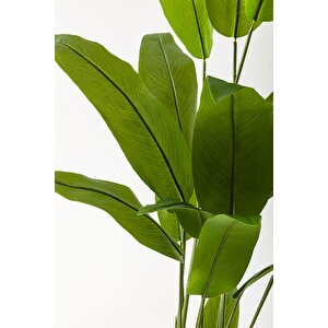 Yapay Starliçe Ağacı 160 Cm Krem Gold Metal Saksı