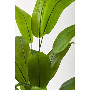 Yapay Starliçe Ağacı 160 Cm Krem Gold Metal Saksı