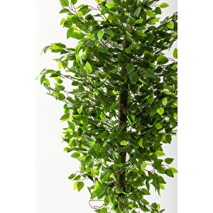 Yapay Benjamin Ağacı 200 Cm Kahverengi Metal Gold Metal Saksı