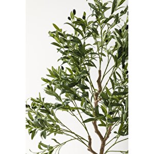 Yapay Zeytin Ağacı 175 Cm Krem Gold Metal Saksı