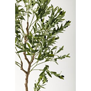 Yapay Zeytin Ağacı 175 Cm Krem Gold Metal Saksı