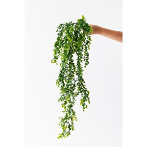 Yapay Okaliptus Sarmaşık 80 Cm 5 Dal