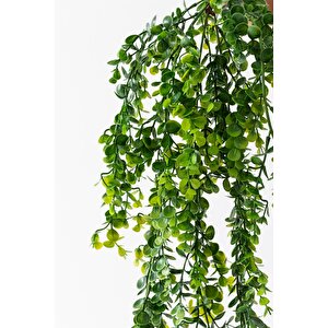 Yapay Okaliptus Sarmaşık 80 Cm 5 Dal