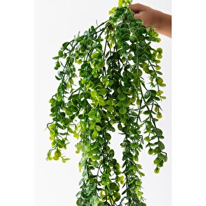 Yapay Okaliptus Sarmaşık 80 Cm 5 Dal