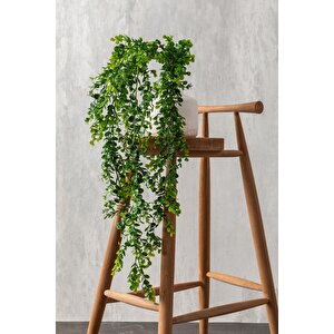 Yapay Okaliptus Sarmaşık 80 Cm 5 Dal