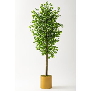 Yapay Benjamin Ağacı 200 Cm Gold Metal Metal Saksı