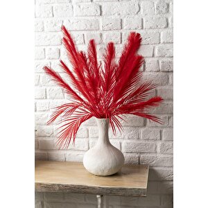 Yapay Tüylü Palmiye Yaprağı 75 Cm 8 Dal Kırmızı