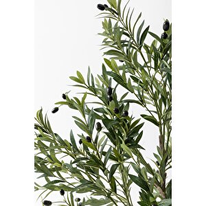 Yapay Zeytin Ağacı 175 Cm Tek Gövdeli Doğal Gerçek Görünümlü Yapay Ağaç