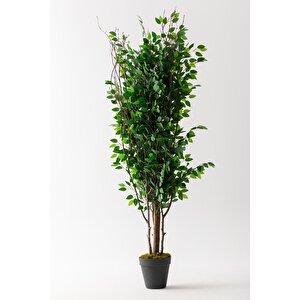 Yapay Ağaç 200 Cm Benjamin 144 Dal (yoğun)