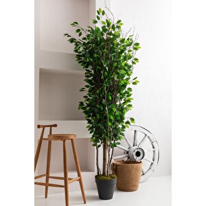 Yapay Ağaç 200 Cm Benjamin 144 Dal (yoğun)