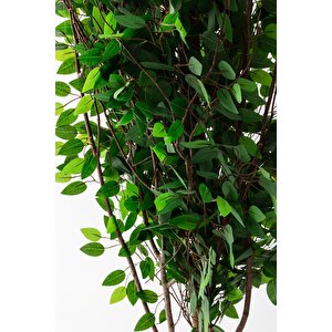 Yapay Ağaç 200 Cm Benjamin 144 Dal (yoğun)