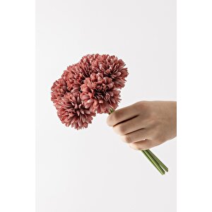 Yapay Kasımpatı Çiçeği Gül Kurusu 25 Cm 7 Dal