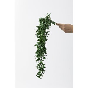 Yapay Sarmaşık Çay Uv Korumalı Koyu Yeşil 75 Cm 5 Dal