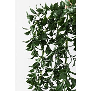 Yapay Sarmaşık Çay Uv Korumalı Koyu Yeşil 75 Cm 5 Dal