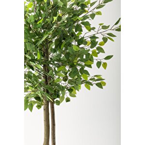 Yapay Benjamin Ağacı 160 Cm Siyah Gümüş Metal Saksı