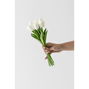 Yapay 8'li Islak Lale Buketi Gerçeksi Doku Beyaz