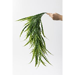 Yapay Sarmaşık Uv Korumalı  Sazlık Yeşil 90 Cm 5 Dal