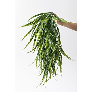 Yapay Sarmaşık Uv Korumalı  Sazlık Yeşil 90 Cm 5 Dal