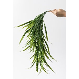 Yapay Sarmaşık Uv Korumalı  Sazlık Yeşil 90 Cm 5 Dal