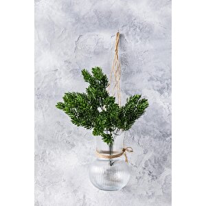 Yapay Çamdalı Demeti Yeşil 30 Cm 5 Dal(uv)