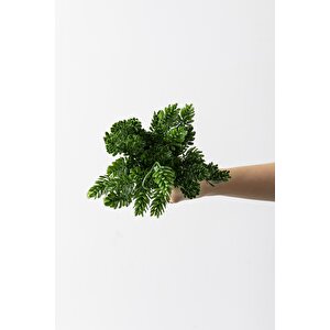 Yapay Çamdalı Demeti Yeşil 30 Cm 5 Dal(uv)