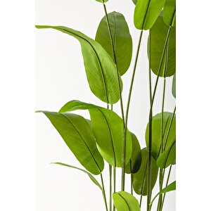 Yapay Starliçe Ağacı 200 Cm Beyaz Gold Metal Saksı