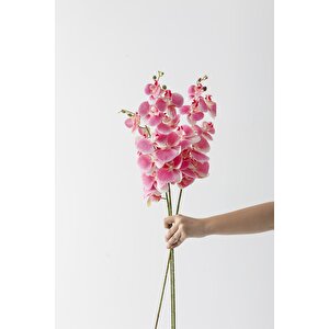 Yapay Islak Orkide Çiçeği Açık Pembe Tek Dal