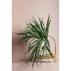Yapay Saz Demeti Koyu Yeşil 50 Cm 7 Dal(uv)