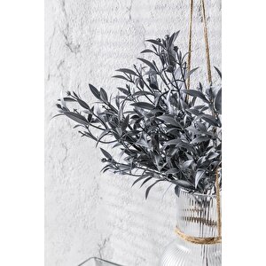 Yapay Zeytin Demeti Gri 35 Cm 5 Dal(uv)