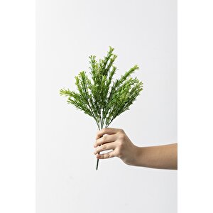 Yapay Latus Demeti Yeşil 35 Cm 5 Dal(uv)