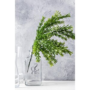 Yapay Latus Demeti Yeşil 35 Cm 5 Dal(uv)