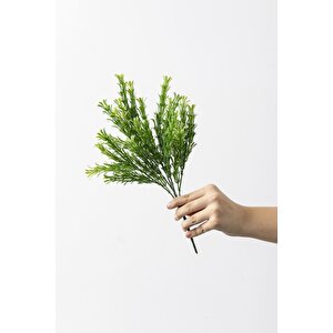 Yapay Latus Demeti Yeşil 35 Cm 5 Dal(uv)
