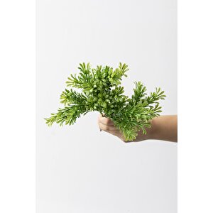 Yapay Latus Demeti Yeşil 35 Cm 5 Dal(uv)