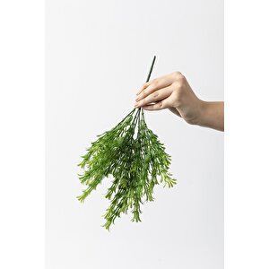 Yapay Latus Demeti Yeşil 35 Cm 5 Dal(uv)