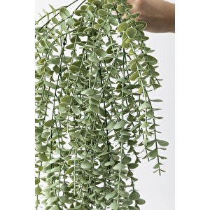 Yapay Okaliptus Sarmaşık Uv Korumalı Pastel Yeşil 90 Cm 5 Dal