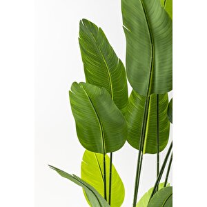 Yapay Starliçe Ağacı 180 Cm Geniş Yapraklı Gümüş Saksı