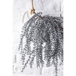 Yapay Cipso Demeti Gri 50 Cm 7 Dal(uv)