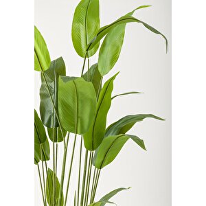 Yapay Starliçe Ağacı 230 Cm Krem Gold Damla Saksı