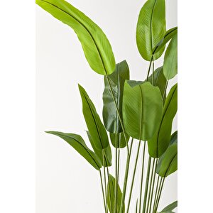 Yapay Starliçe Ağacı 230 Cm Krem Gold Damla Saksı