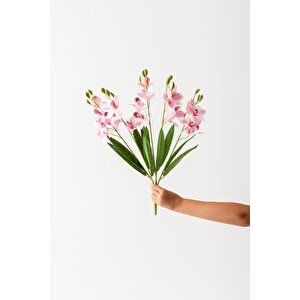 Yapay Islak Orkide Çiçeği Pembe 5 Dal