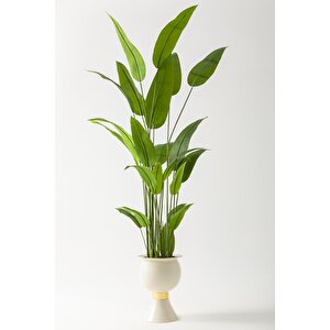 Yapay Starliçe Ağacı 220 Cm 24 Yaprak Krem Balon Saksı